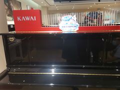 -柏斯琴行(汾阳店)