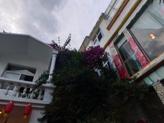 -尼玛藏家风味园(阿山食城店)
