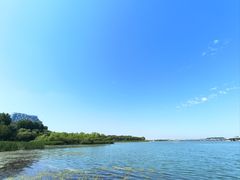 -丁香湖公园