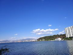 -洱海月湿地公园