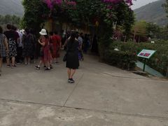 -亚龙湾国际玫瑰谷