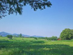 -良渚古城遗址公园