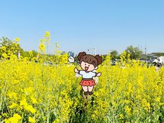 -西山漾湿地公园