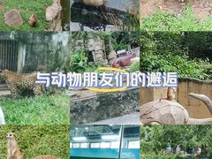 -广州动物园