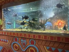 -海合安成都极地海洋公园