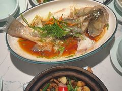 -大榕树下顺德菜(融创茂店)