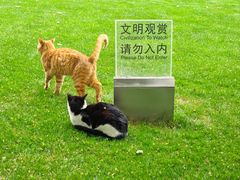 -静安公园(静安寺街道)