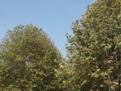 -南京财经大学(仙林校区)