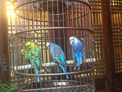 -鱼桥巷·美学川菜