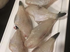 嘿大的耗儿鱼-捞锅坝子老火锅(汽博中心店)