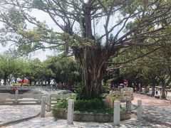 -南沙天后宫景区