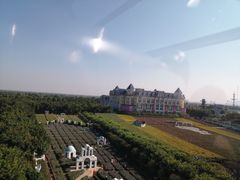 -百万葵园