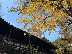 -无锡惠山寺