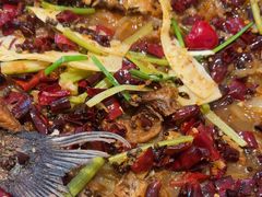 -老板恋上鱼(恒隆广场店)