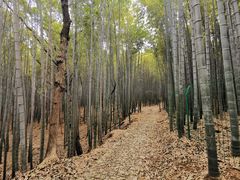 -虞山风景区