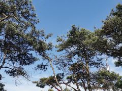-沂蒙山旅游区云蒙景区(蒙山国家森林公园)