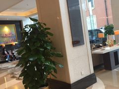 -成都新东方千禧大酒店-琥珀西餐厅