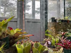 -国家植物园南园