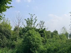 -东湖落雁景区