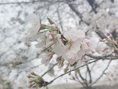 -自然谷恐龙园
