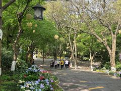 -天目湖山水园