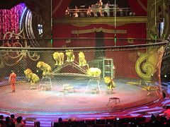 -珠海横琴长隆《卡卡虎奇遇记》