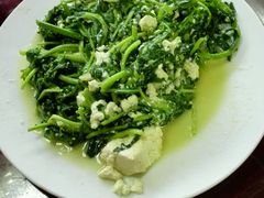 android_upload_pic-苍洱春饭店