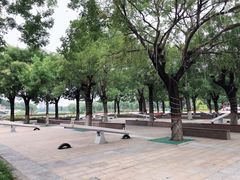 -河北省园博园