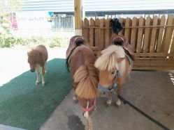 -萌宠亲子动物乐园(槐房万达店)