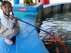 -蓬莱欧乐堡梦幻世界