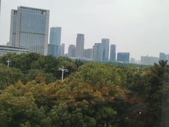 -同庆楼(天鹅酒家店)