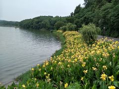 -东湖落雁景区