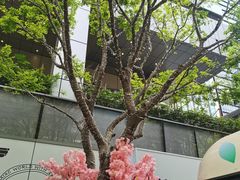 -星巴克臻选(深圳万象天地旗舰店)