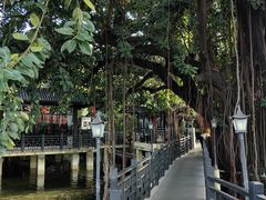 -侨美·唐荔园·40年地道粤菜