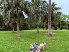 -东莞植物园