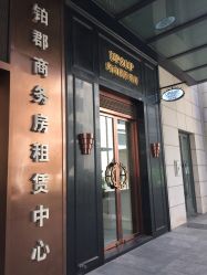 -UP&UP·半永久眉毛眼线机器野生眉