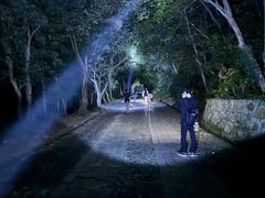 -紫金山山顶公园
