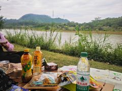 -美的鹭湖森林度假区