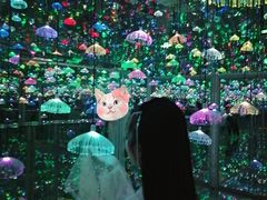 -福州奇幻解压馆(东泰禾旗舰店)