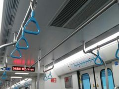 -王记西鎮电烤肉(汶上路店)