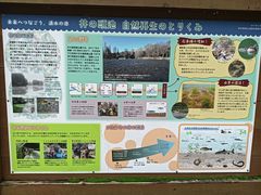 -井之头恩赐公园