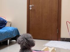 -美联众合动物医院·24h转诊中心