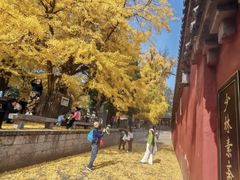 -少林寺欢喜地素斋馆