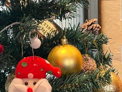 -TOMATITO(无限极荟店)