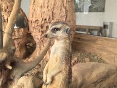 -厦门园林博览苑