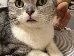 -瑞鹏宠物医院·超声·骨科·奇麟分院(蜀都万达店)