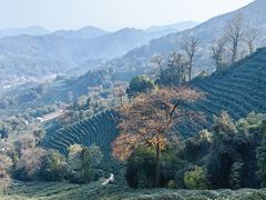 -西湖风景区十里琅珰-五云山