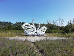 -东郊湿地公园