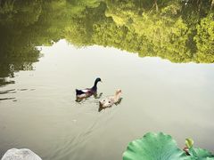 -河南省黄河迎宾馆