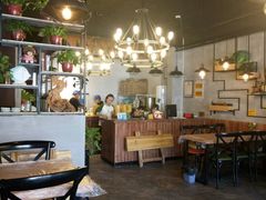 -猫姑娘大盘鸡(商城路店)